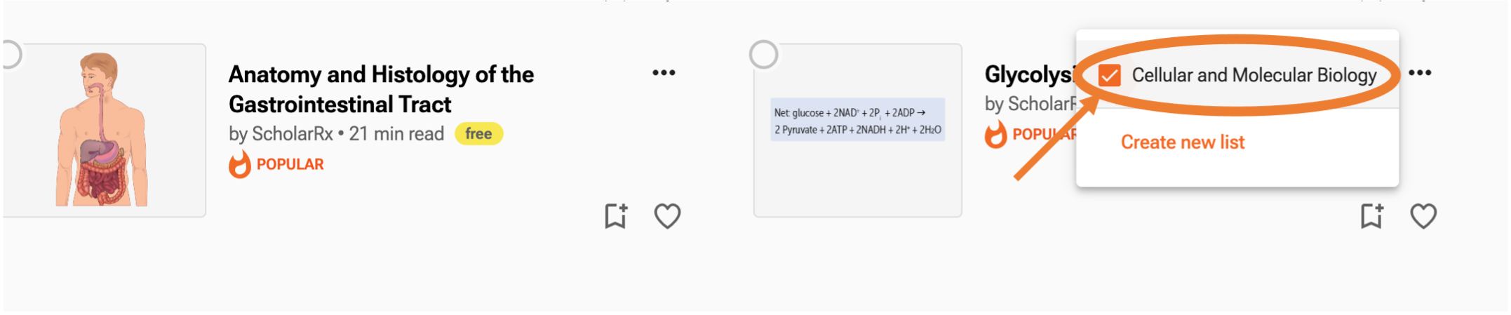 add_list.png